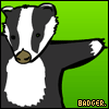 Badger 2