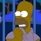 Homer In Darkness